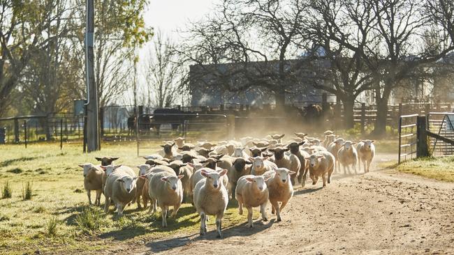 Australian agricultural producers will have an enhanced market access to more than 448 million consumers under the trade deal. Picture: Supplied