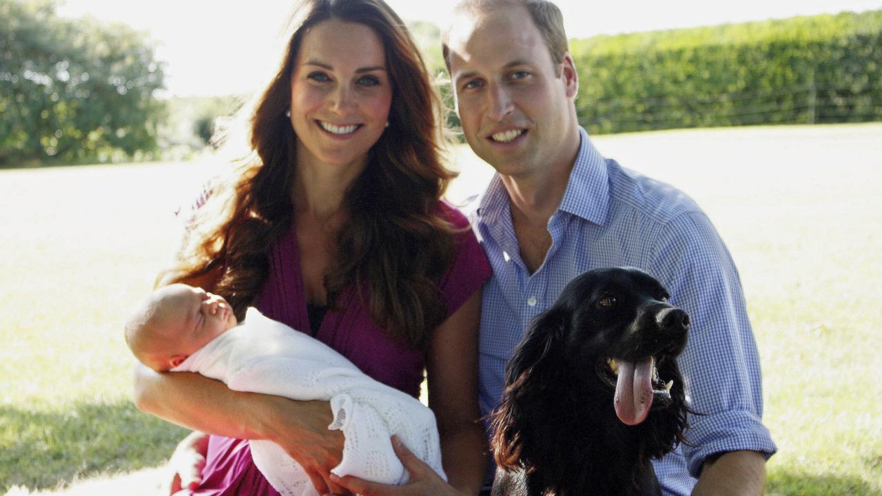 Royal spaniel Lupo, family dog of Prince William and Catherine has died ...