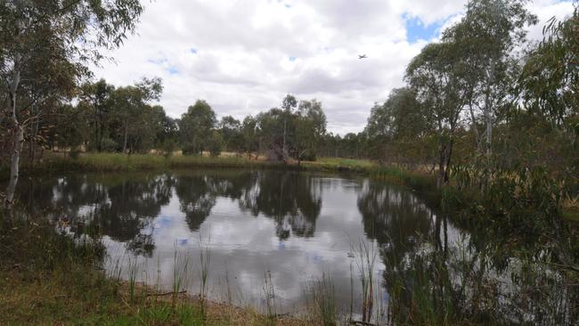 Wetlands near the RAAF base at Edinburgh.