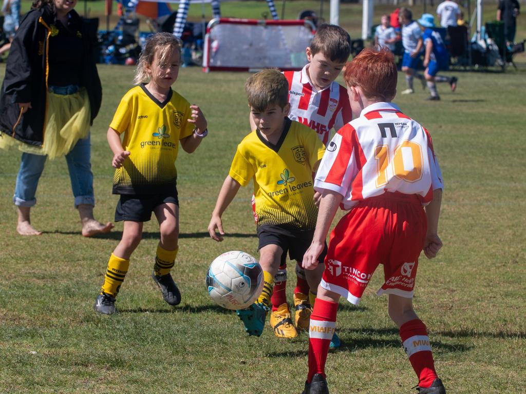 Mackay Wanderers Junior Carnival gallery | Townsville Bulletin