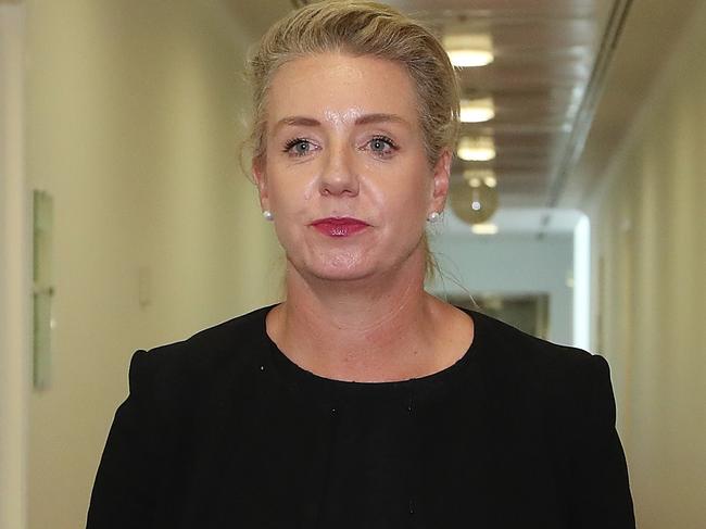 Deputy Nationals Leader Bridget McKenzie at Parliament House in Canberra.