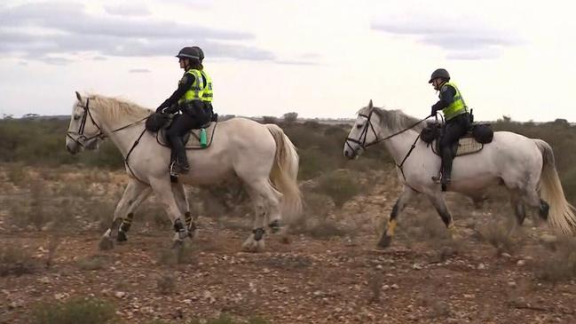 Police search for Deborah Pilgrim earlier this week. Picture: 9 News