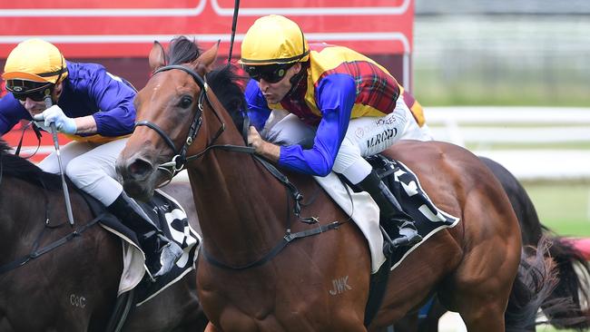 A couple of Melbourne Cup winners combined for the win of two-year-old filly Idyllic Affair at Doomben on Saturday. Picture: Natasha Wood, Trackside Photography.,