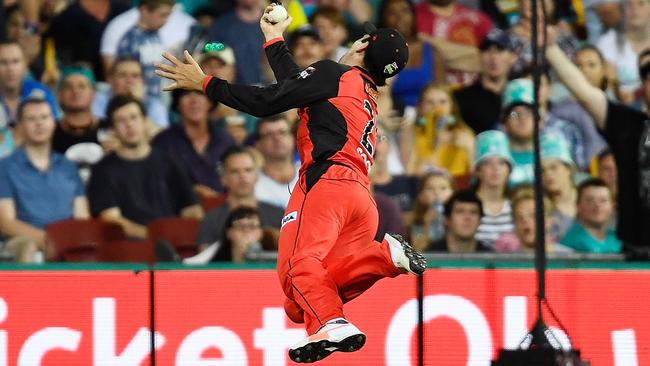 Tom Cooper’s spectacular effort to dismiss Matt Renshaw typified the Renegades’ efforts in the field on Saturday night against the Heat. Photo: Ian Hitchcock