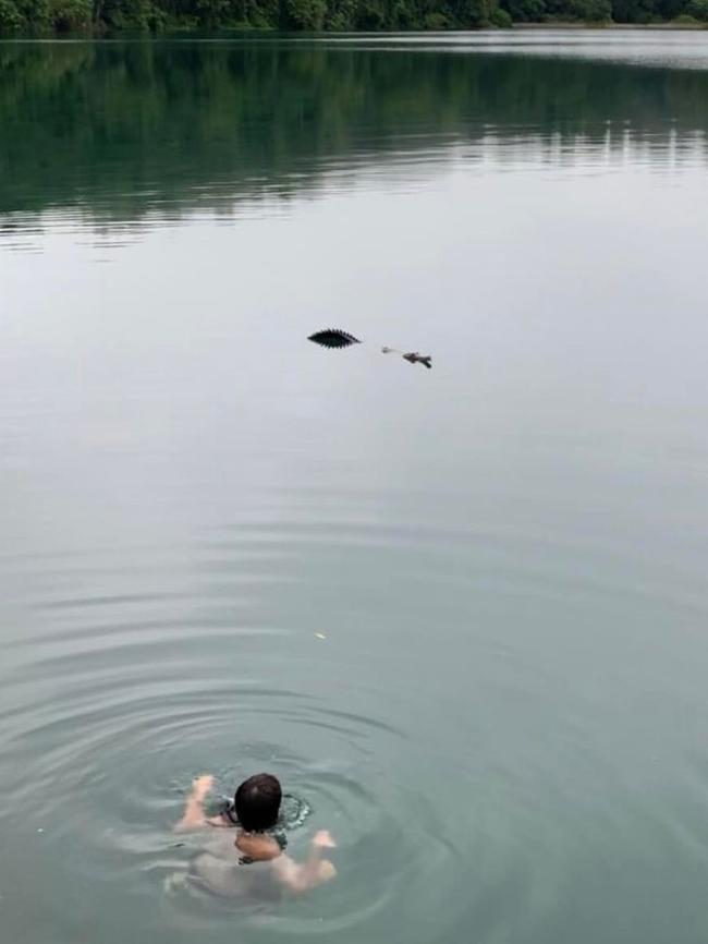 A screenshot from a video taken by Atherton nurse Lisa Jensen showing her son in the water at Lake Eacham and the freshwater croc in close proximity. Picture: Lisa Jensen