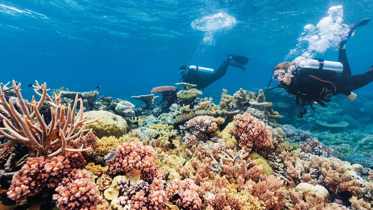 Poor water quality around the Great Barrier Reef will be improved by a $200m program. Picture: Supplied / Tourism Queensland