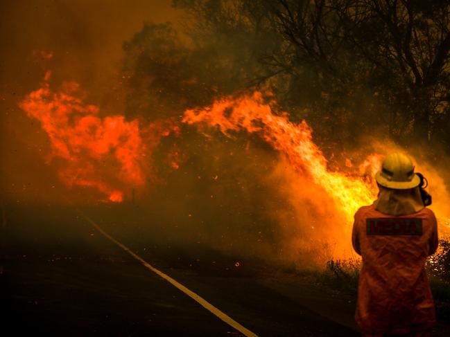 SYDNEY, AUSTRALIA - DECEMBER 19: A camerman films flames crossing a road as a bushfire burns near homes on the outskirts of the town of Bilpin on December 19, 2019 in Sydney, Australia.   (Photo by David Gray/Getty Images)