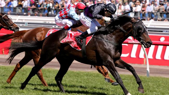 Fiorente ridden by Damien Oliver wins the Melbourne Cup.