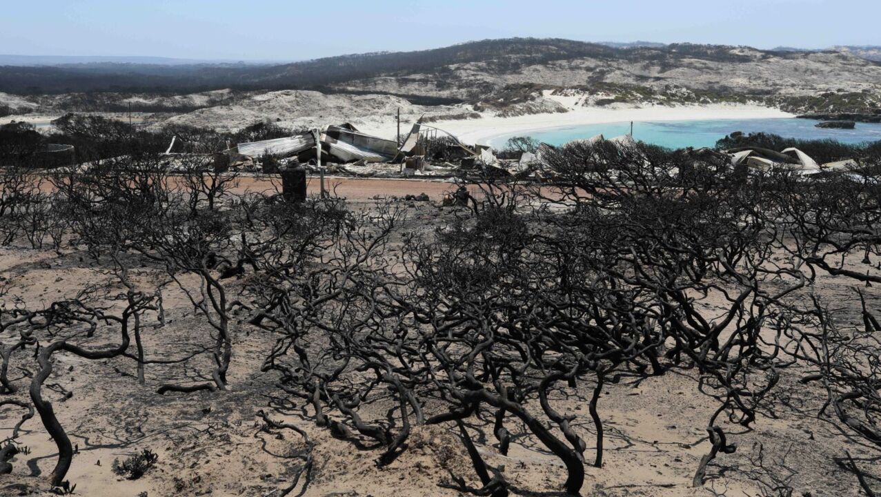 Kangaroo Island's Ravine blaze breaks containment lines again