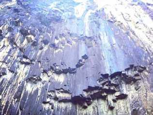 Minyon Falls has dried up during the region's unusually dry summer. Picture: Vision Walks Eco Tours