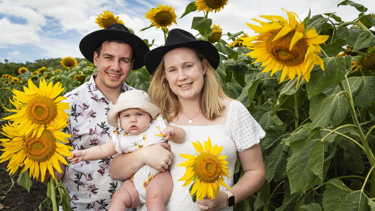 Tom and Tahlena Holsworth with baby Olive at the Lilyvale Flower Farm picking sunflowers, Sunday, February 2, 2025. Picture: Kevin Farmer