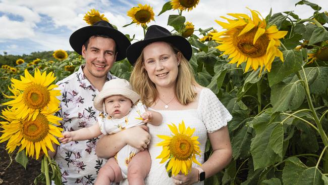 Tom and Tahlena Holsworth with baby Olive at the Lilyvale Flower Farm picking sunflowers, Sunday, February 2, 2025. Picture: Kevin Farmer