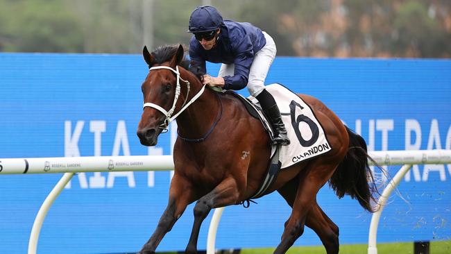 SYDNEY, AUSTRALIA - JANUARY 18:  James McDonald riding Wodeton win Race 1 Chandon Handicap during Sydney Racing at Rosehill Gardens Racecourse on January 18, 2025 in Sydney, Australia. (Photo by Jeremy Ng/Getty Images)