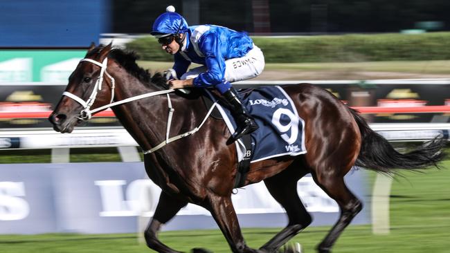 Winx might be a top physical specimen but it is her temperament that sets her apart. Picture: AAP