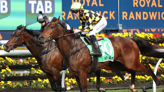 Clear Thinking maintained her unbeaten record in the TAB Highway on Saturday Picture: Jeremy Ng/Getty Images