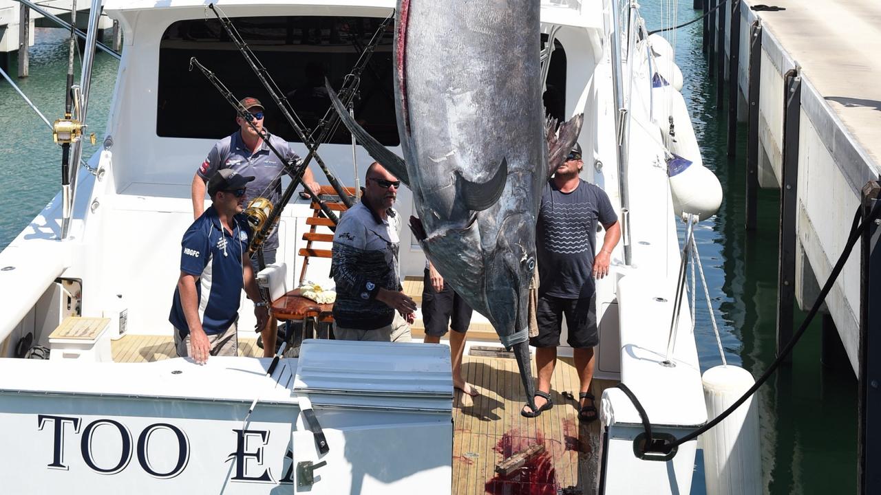 Too Easy II Gold Coast boat lands 1431 pound black marlin off Queensland  coast