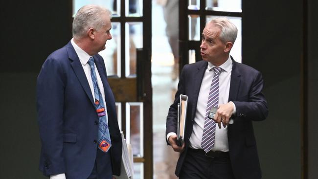 Home Affairs Minister Tony Burke and Minister for Skills and Training Andrew Giles during Question Time at Parliament House in Canberra. Picture: NCA NewsWire / Martin Ollman