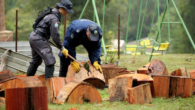 Police search for forensic evidence relating to the disappearance of William Tyrell in the small town of Kendall. Picture: Nathan Edwards