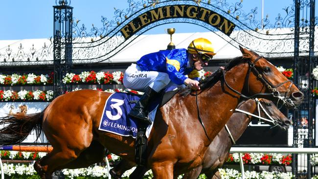 Super sprinter Santa Ana Lane is the horse to beat in the Darley Sprint Classic. Picture: Getty Images