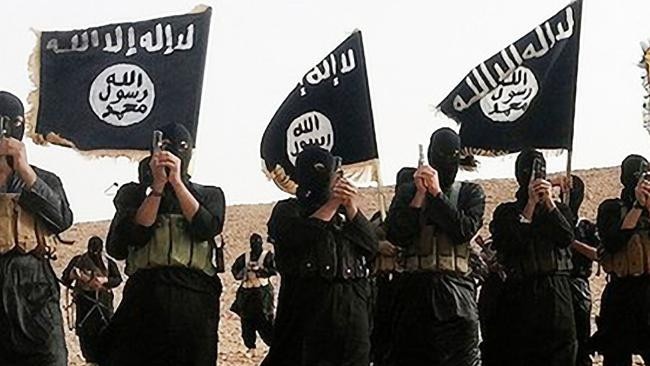 Brandishing an Islamic State flag could be outlawed.