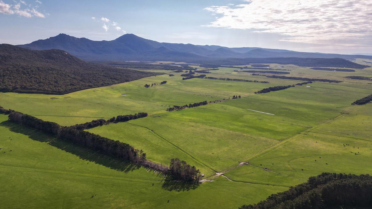 Tassie beef farms tipped to sell for more than $80 million