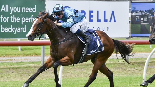 Blitzburg is looking to make it two from two when he heads to Wyong. Picture: Bradley Photos