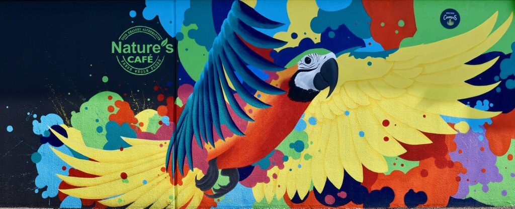 BRIGHT: Nature's Food Market's giant mural in Currimundi has become a tourist attraction in its own right.