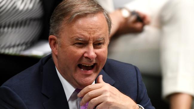 Opposition Leader Anthony Albanese in question time on Tuesday. Picture: Getty Images