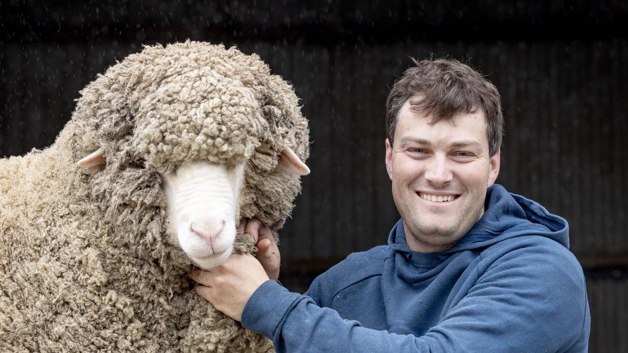 World-leading wool growers take ‘long term view’ on profit