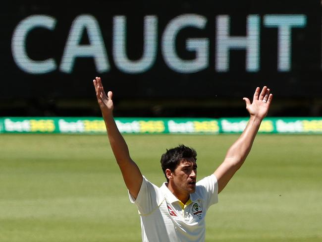 Mitchell Starc appeals to the umpire.