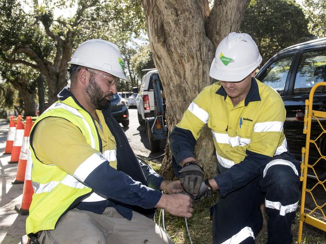 Contractors working with the rollout of the NBN network are seen in Sydney, Monday, July 10, 2017. The NBN rollout has passed the important halfway milestone, with one in two Australians now able to access the faster internet technology.  (AAP Image/Brendan Esposito) NO ARCHIVING