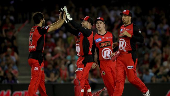 Usman Shinwari of the Renegades is congratulated after snaring the early wicket of Sixers opener Jack Edwards. Picture: AAP