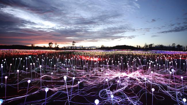 Field of Light, Uluru. Picture: Mark Pickthall