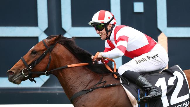 Obamburumai is one of the leading contenders in the Doncaster Mile. Picture: Jeremy Ng/Getty Images