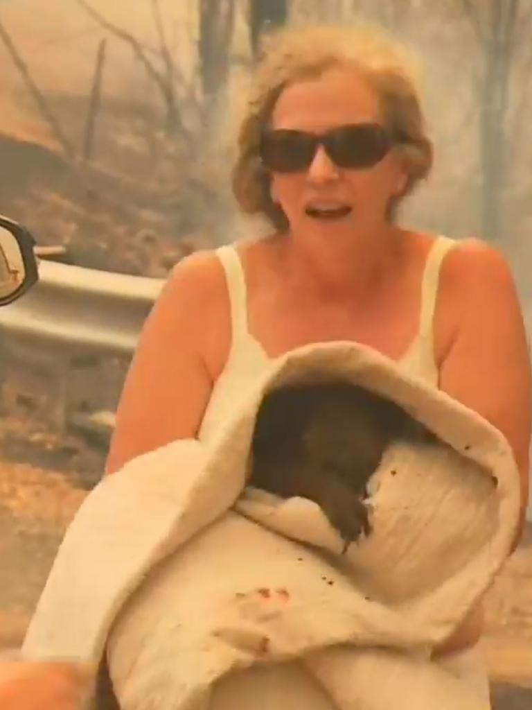 Toni Doherty rescued Lewis the koala from fires near Port Macquarie. Picture: Channel 9