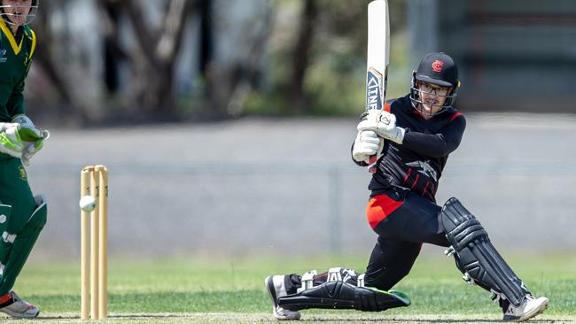 Aaron Ayre hitting out for Essendon. Picture: Arj Giese