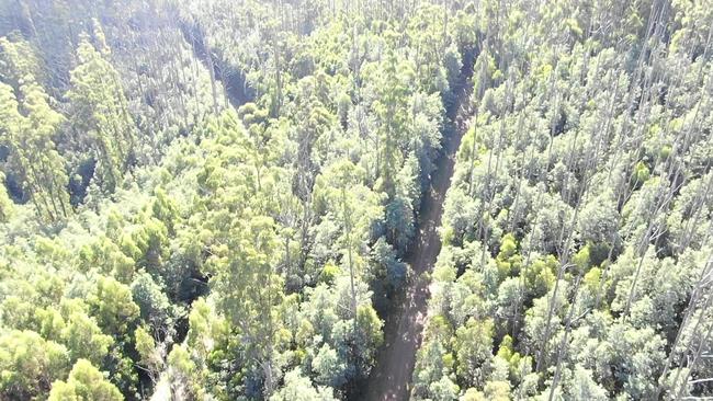 Drone footage of the search area at Bunyip State Park covered by Victoria Police in the hunt for Dalibor Pantic.