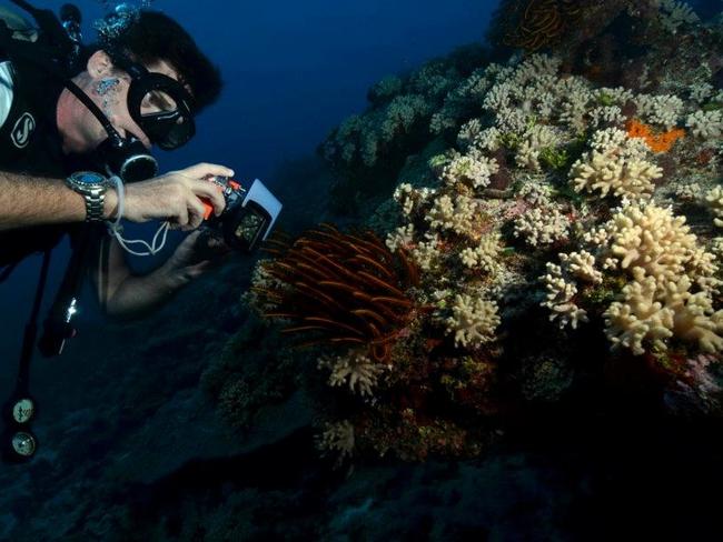 Craig Leeson filming coral during shooting for A Plastic Ocean. Picture: Supplied.