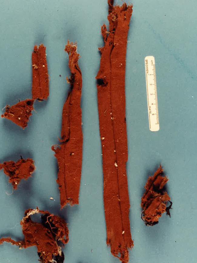 Clothing fragments from bombing at judge’s home.