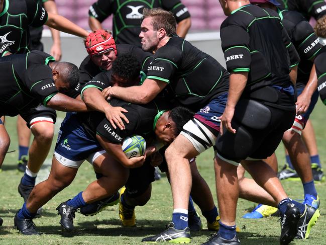 Reds players training at Ballymore this week. Picture: AAP 