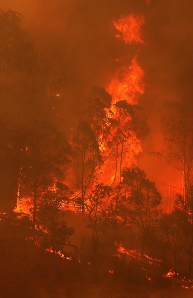 Bushfires take hold on the South Coast of NSW, in the Bega Valley near Wyndham during the Black Summer crisis. Picture: Toby Zerna