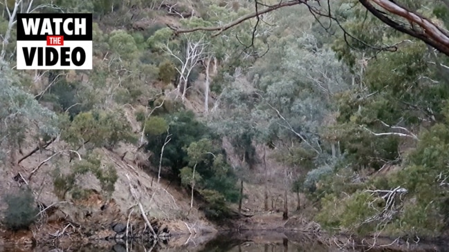 Nature versus mining- White Rock Quarry at Horsnell Gully