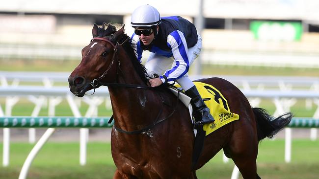Weona Smartone can keep winning. Picture: Trackside Photography