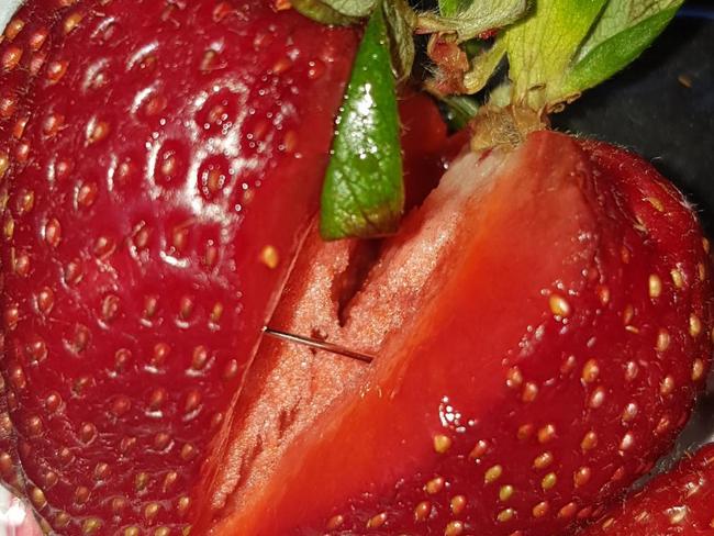 One of the needles found in one of the strawberries from interstate. Picture: Supplied