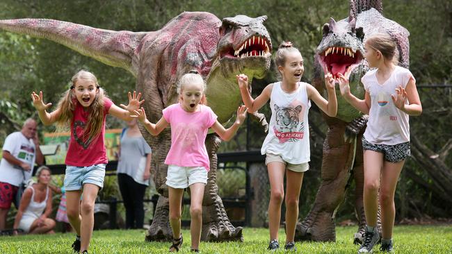 Puggles to dinos: All creatures great and small at the Australian ...