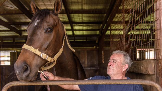 Grafton trainer John Shelton with his runner in the Koscisuko, Belflyer, who has retired from racing.