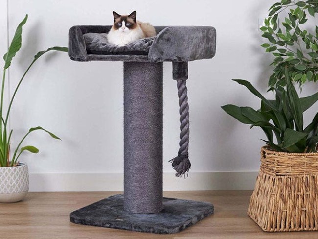 Kazoo High Bed Rope Cat Scratch Tree