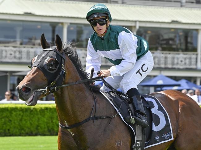Highly-rated import Givemethebeatboys is expected to peak for his run in Saturday's Luskin Star Stakes at Scone. Picture: Bradley Photos