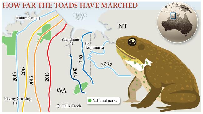 HOW FAR THE TOADS HAVE MARCHED