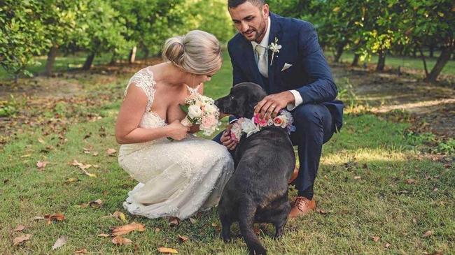 A DOG&#39;S LIFE: Amy and Tristian Wright adopted Echo and decided to make her part of their recent wedding ceremony.